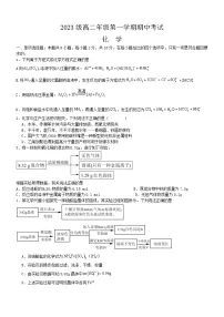 海南省海口实验中学2024-2025学年高二上学期11月期中考试 化学试题
