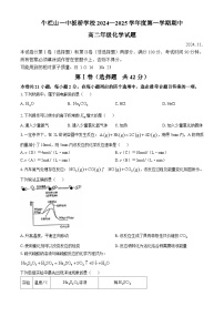 北京顺义区牛栏山一中板桥学校2024-2025学年高二上学期期中考试化学试题