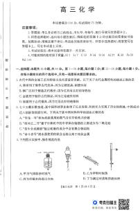 广东省部分学校2024-2025学年高三上学期11月联考 化学试题