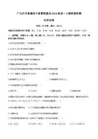 四川省广元市直属学校2024-2025学年高一上学期11月期中考试 化学试题