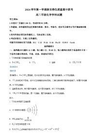 浙江省浙里特色联盟2024-2025学年高二上学期期中联考化学试卷（解析版）-A4