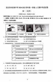 广东省茂名市田家炳中学2024-2025学年高一上学期11月期中考试化学试题