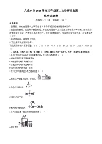 贵州省六盘水市2025届高三上学期高考第二次诊断性监测化学试题
