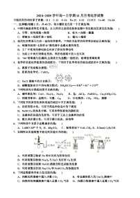 辽宁省凌源市实验中学2024-2025学年高一上学期11月月考 化学试卷