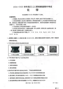 河北省邢台市质检联盟2024-2025学年高三上学期11月期中化学试题