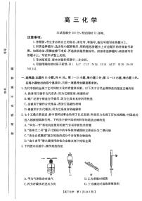 广东省部分学校2024-2025学年高三上学期11月期中考试化学试卷（PDF版附解析）