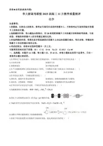 华大新高考联盟2025届高三上学期11月教学质量测评-化学试题+答案