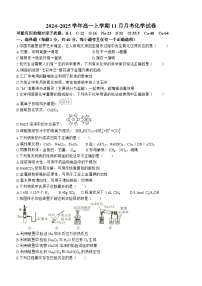 辽宁省凌源市实验中学2024-2025学年高一上学期11月月考 化学试卷