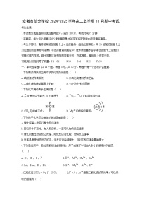 2024~2025学年安徽省部分学校高二(上)11月期中考试化学试卷
