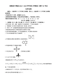 辽宁省大连市滨城高中联盟2024-2025学年高三上学期期中Ⅱ考试 化学试卷