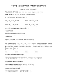 北京市平谷中学2024-2025学年高二上学期11月期中考试化学试卷