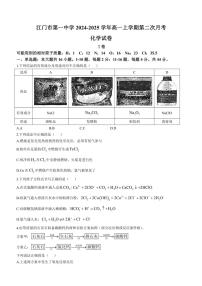 广东省江门市第一中学2024～2025学年高一(上)第二次月考化学试卷(含答案)