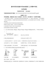 江苏省泰州市民兴实验中学2024～2025学年高三(上)期中化学试卷(无答案)