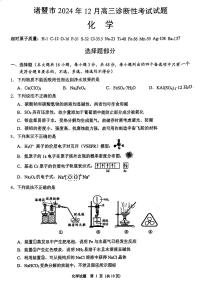 浙江省绍兴市诸暨市2024-2025学年高三上学期12月一模考试 化学试题