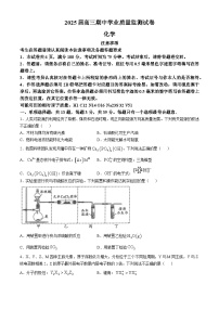 江苏省海安高级中学2024-2025学年高三上学期期中考试 化学试题（含答案）