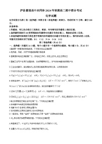 2025泸州泸县普通高中共同体高二上学期11月期中考试化学含答案