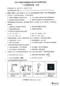 重庆市2024-2025学年高三上学期11月期中上学期化学试题