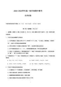 四川省眉山市仁寿县协作体2024-2025学年高一上学期11月期中联考 化学试题