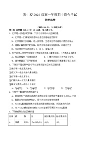 四川省眉山市东坡区高中学校2024-2025学年高一上学期11月期中联合考试 化学试题