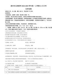 2024～2025学年广东省茂名市高州市五校联考高一(上)12月月考化学试卷(含答案)