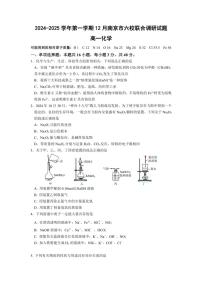 2024～2025学年江苏省南京市六校高一(上)12月联合调研考试化学试卷(含答案)
