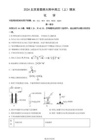 2024北京首都师大附中高三（上）期末化学试题及答案