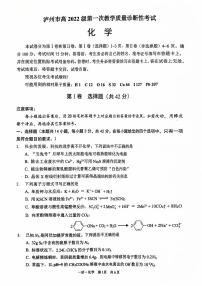 四川省泸州市2025届高三上学期第一次教学质量诊断性考试化学试题（PDF版附答案）