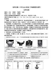 云南省昆明市第一中学2024-2025学年高三上学期11月第四次联考化学试题（Word版附解析）