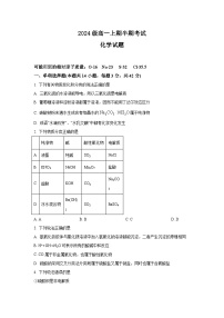 四川省眉山市东坡区冠城实验学校2024-2025学年高一上学期11月期中化学试题