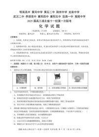 2025届湖北十一校高三上学期12月联考化学试题+答案