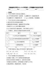河南省部分学校2024-2025学年高一上学期期中考试化学试卷(含答案)
