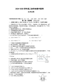 四川省眉山市仁寿县协作体期中联考2024-2025学年高二上学期11月期中考试 化学试题 （含答案）