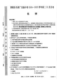 安徽省蚌埠市固镇县毛钽厂实验中学2024-2025学年高二上学期12月月考 化学试题