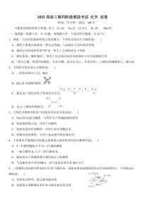 湖南省长沙市周南中学2024-2025学年高三上学期第四阶段模拟考试 化学试题