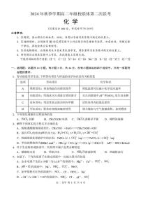 2024～2025学年广西壮族自治区河池市高一(上)12月联盟考试化学试卷(含答案)