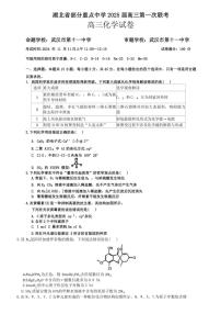 2024～2025学年湖北省部分重点中学高三(上)第一次联考化学试卷(含答案)