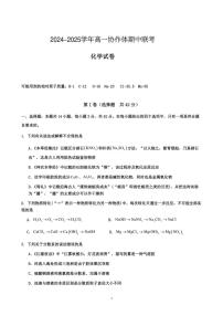 2024～2025学年四川省眉山市仁寿县协作体高一(上)期中联考化学试卷(pdf,含答案)