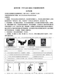 2024～2025学年云南省昆明市第一中学高三(上)11月第四次联考化学试卷(含答案)