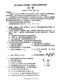 四川省成都市蓉城名校联盟2025届高三上学期高考第一次联合性诊断性考试化学