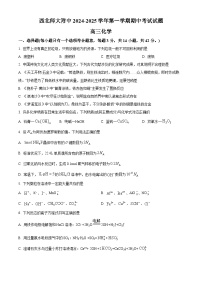 2025甘肃省西北师大附中高三上学期期中考试化学含答案