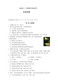 2024～2025学年四川省眉山市仁寿县校际联考高一(上)期中联考化学试卷(含答案)
