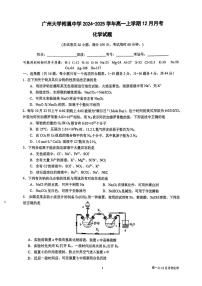 广东省广州市广州大学附属中学2024-2025学年高一上学期化学12月月考试卷