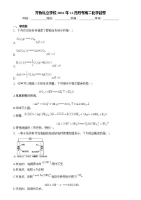 山东省济南市齐鲁私立学校2024-2025学年高二上学期12月月考化学试卷