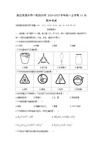2024-2025学年浙江省温州市十校联合体高一(上)11月期中考试化学试卷