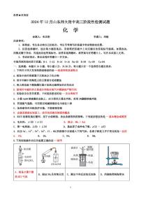 2025届山东师大附中12月高三上学期月考化学试题+答案