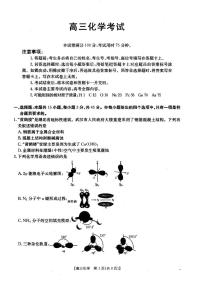 湖北省部分学校2024-2025学年高三上学期12月联考化学试卷（PDF版附答案）