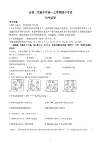 吉林省长春第二实验中学2024-2025学年高一上学期期中考试化学试卷（PDF版附解析）