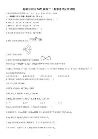 黑龙江省哈尔滨师范大学附属中学2024-2025学年高二上学期期中考试化学试卷（PDF版附答案）