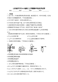 山东省济宁市2025届高三上学期期中考试化学试卷(含答案)