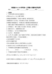 陕西省2024-2025学年高一上学期11月期中化学试卷(含答案)